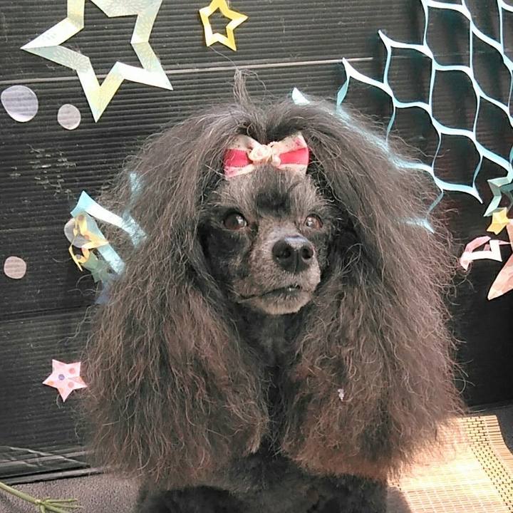 4e5ab06c d760 44e0 a97b f5d86f060237 1689130935296