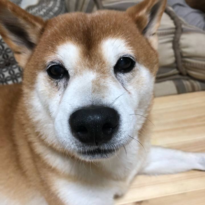 4e5ace24 bbf9 44e7 8a5f 4288c34e3cdf 1539903173637