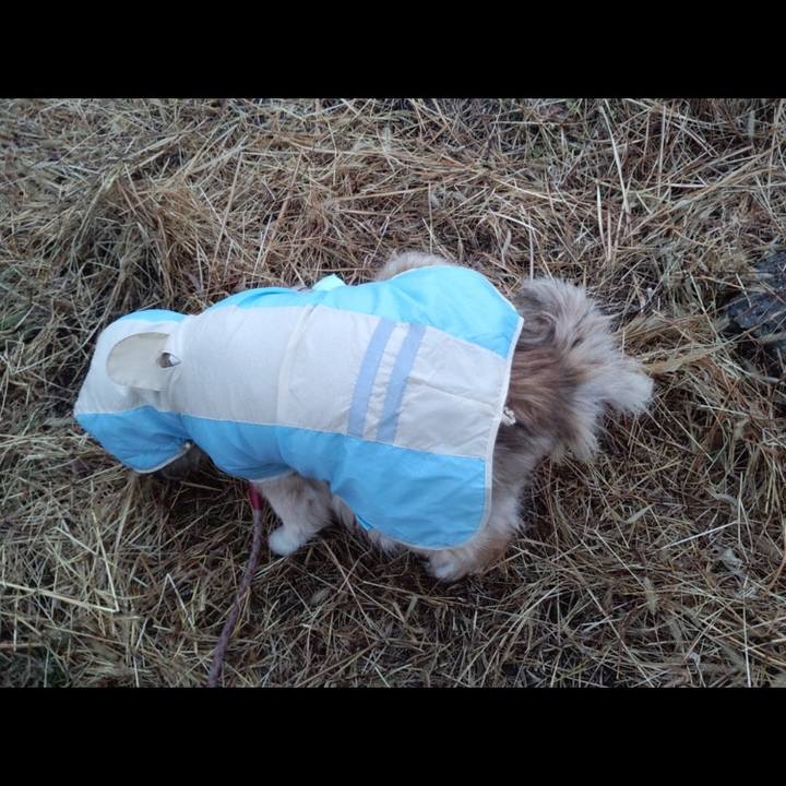 4e5adc59 34fb 4dc8 88a2 2cb34fd8a03b 1566580568295