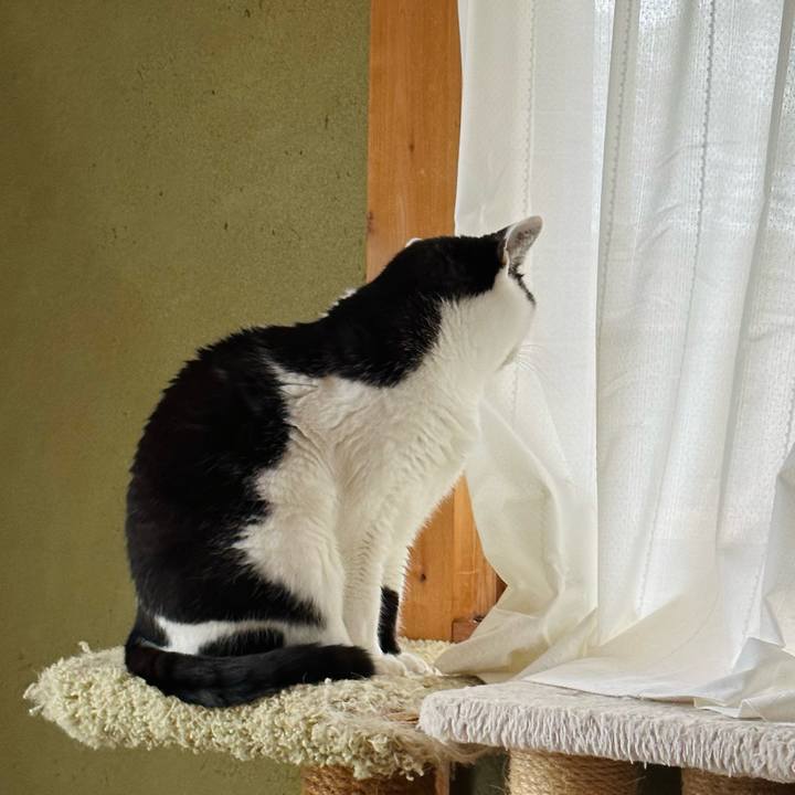 4e5b0057 9fc3 4eff ab91 b49815f6b26f 1670547712802