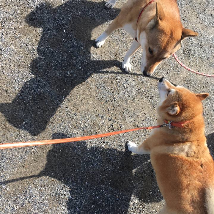 4e5b18ab 16cd 436a 88f6 fe40937dee94 1599958126387