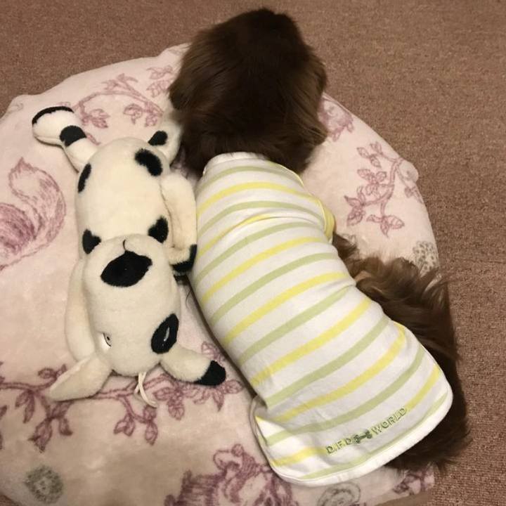 4e5b3059 d426 4228 9322 c939b2308196 1678232903007