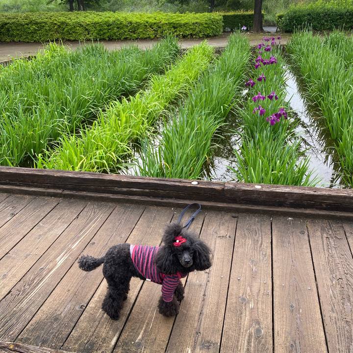 4e5b33cf 6ad0 4691 bdea 276841174a38 1653127645326