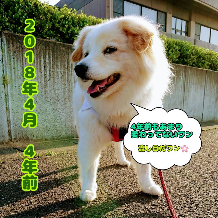 4e5b3444 e7e5 4fcb a1cd 8940c58f66a5 1649933611657