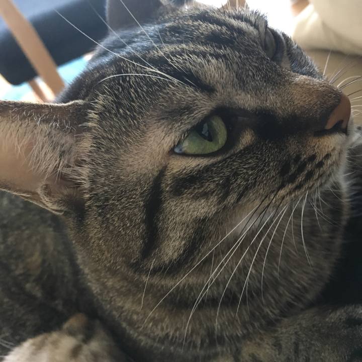 4e5ba3ff 8644 4e5d b914 1b73971d1f5c 1541913266793