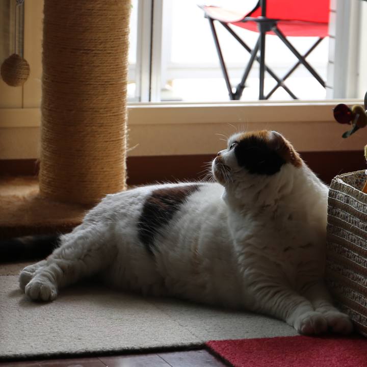 4e5bad2a 26fe 42d2 9b42 e281d647665c 1562802392571