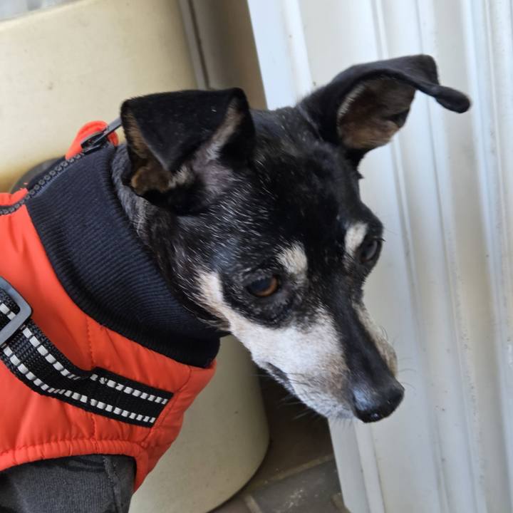 4e5bb25c 947d 4b9e 8fbe 47956392bf58 1767668172102