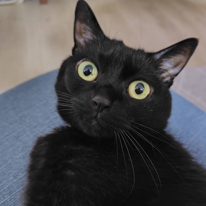 4e5bb8c9 2067 49df a91e 8eb075bb61c2 1716210070470