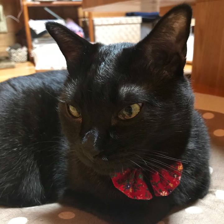 4e5bc35e bf1c 4d59 8e23 bad30f9ccee6 1529152375697