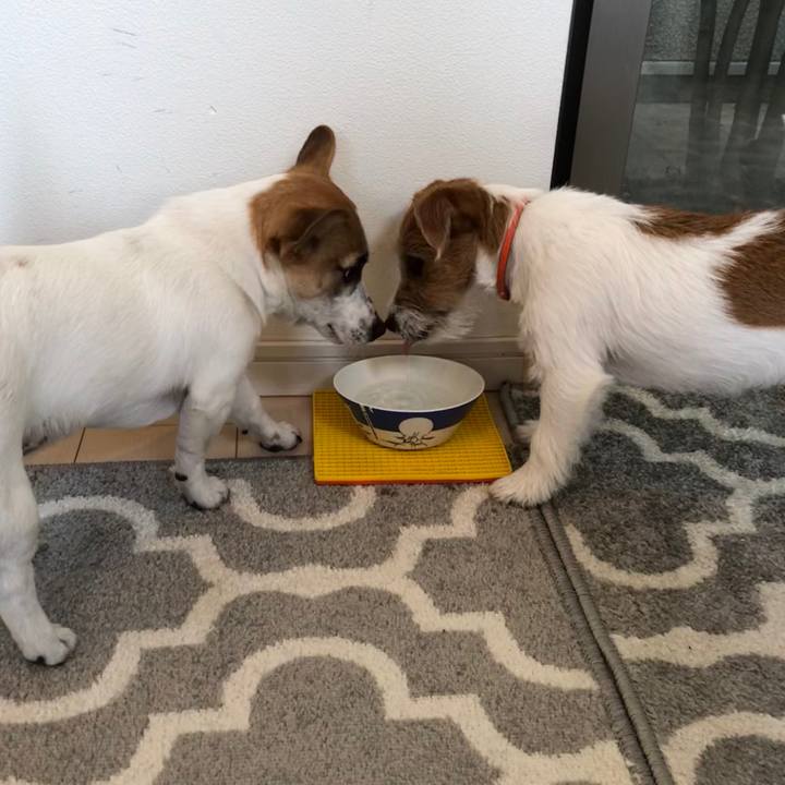 4e5bd3b7 c6ec 4642 a85c 494932a2b64d 1553474631458