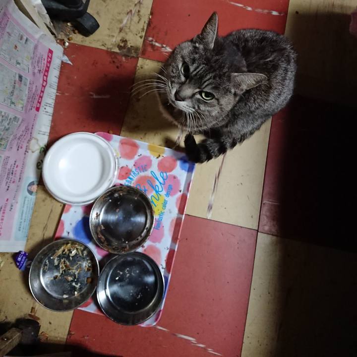 4e5be093 0e11 41da a6c2 6b9efdde089b 1553893195538