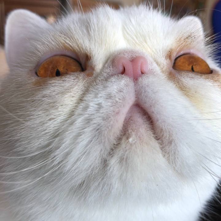 4e5c4767 19c7 406a be7c 4dc575c3655b 1605531478145