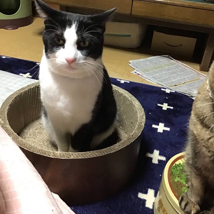 4e5caf14 d68b 4589 8ca5 7a5d314c5479 1710241531915