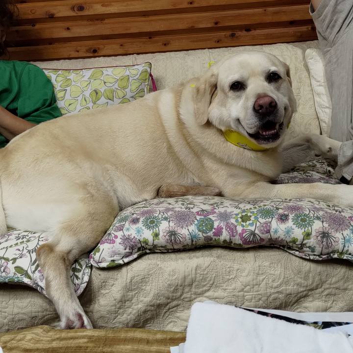 4e5ccdcb 4684 4651 bce0 296cbb0b5ca7 1725100377369