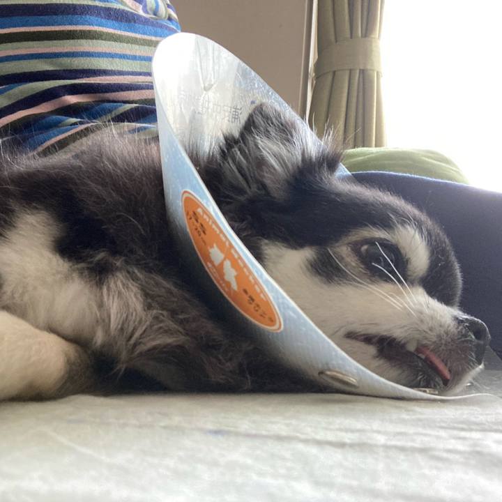 4e5d0c1c ff2b 48a6 8d8d f6305971f089 1776995467734