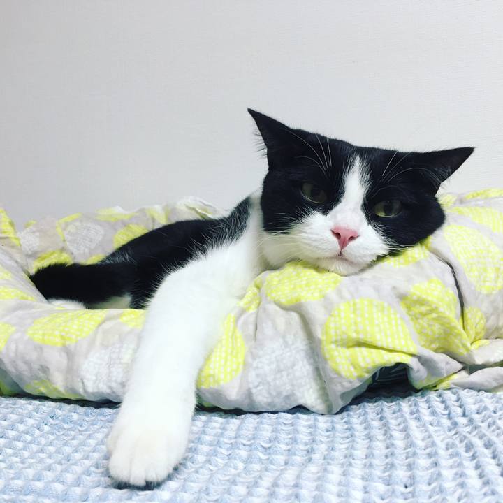 4e5d1440 8479 4cf6 86fe 0f8da9ae6bfa 1632052122988