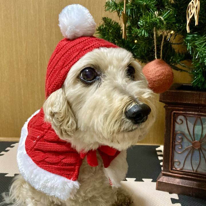 4e5d2649 a1da 4a71 b9c0 b7e934cc4cc3 1766618608509