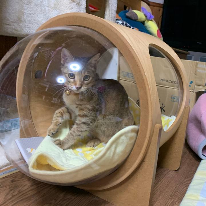 4e5d2ee7 51e2 4467 bb82 41b80bfd80fe 1599925267965