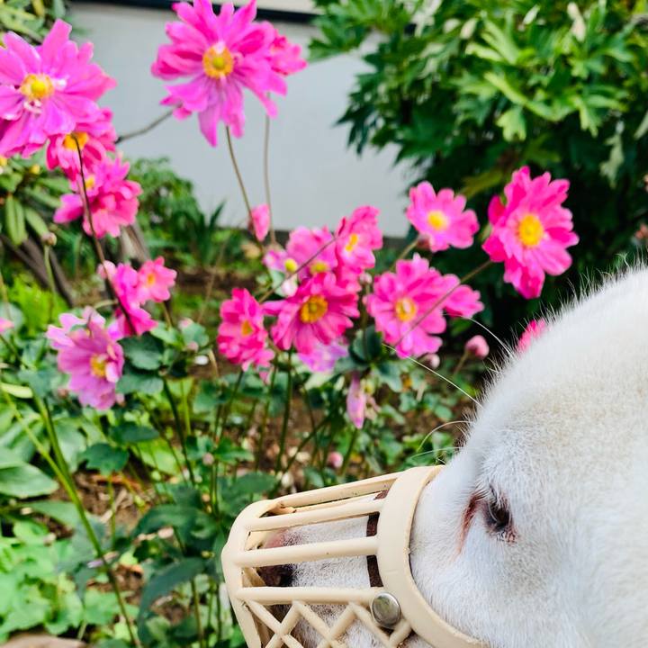 4e5d2f92 5541 44ee a5d6 9824772dcaa0 1604108584747