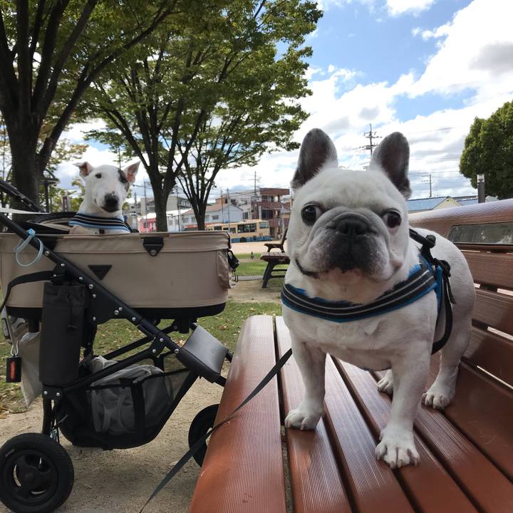 4e5d3830 5a85 4146 9bf0 8cadeccf439e 1601264843921