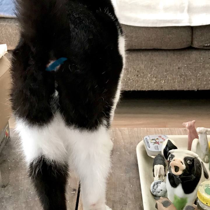 4e5d64db ed93 4c5c a9fc 62b5d16c8f11 1569152547554