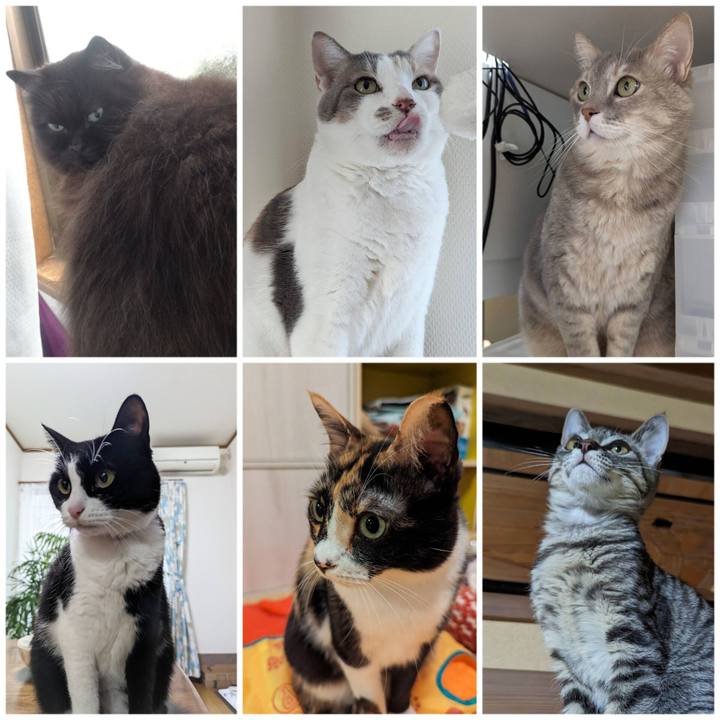 4e5d8554 e8cb 4b04 b8a2 e1cc1709d729 1703908523460