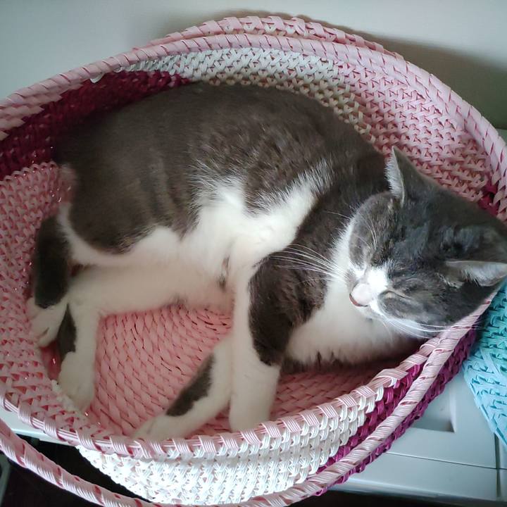 4e5da54e 9650 415e abb4 f42a3d500da4 1658187191042