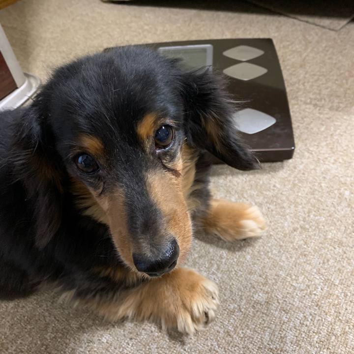 4e5dc9b7 df02 4909 a635 a8bcb86330bf 1577137674156