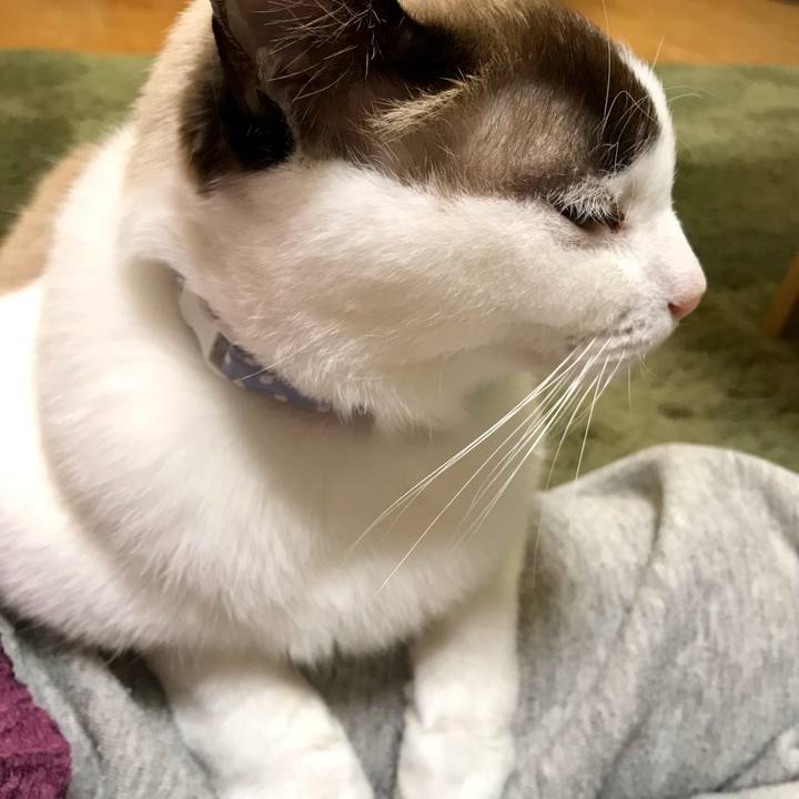 4e5dcc64 5bd2 4f23 853d 055656a2aca9 1612099781313