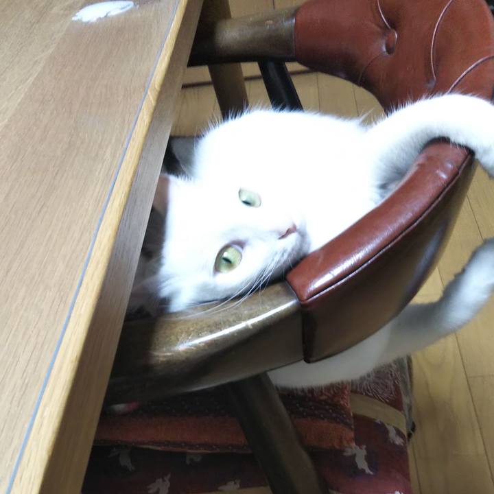 4e5dce25 7dab 4d09 b8c4 36be35c84d9f 1625093461110