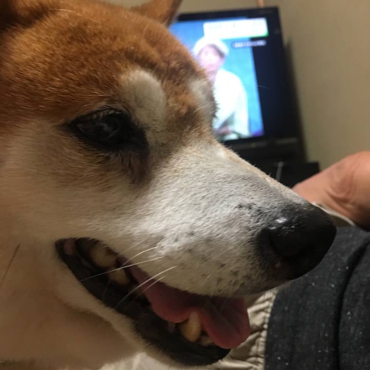 4e5e4ec0 30ef 4203 a907 f37987d09f6e 1530621499644