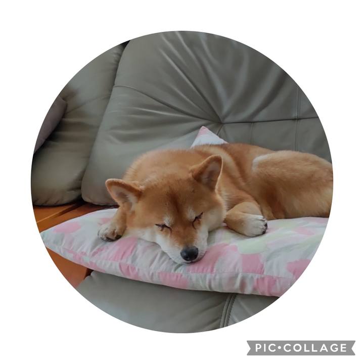 4e5e5ca5 edf4 4960 a210 8c6811a4d9a5 1717372929301