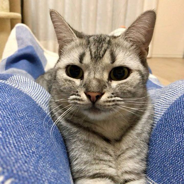 4e5e77a7 438b 4723 8830 a5a1ce63c21a 1538990704078