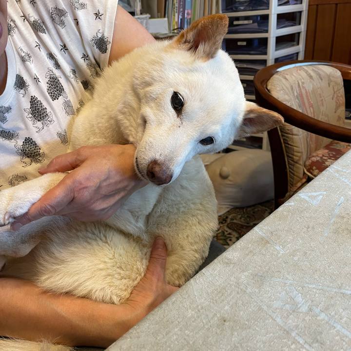 4e5ef5d5 8037 4f22 a3db ffa7b9f14b5b 1657075486671