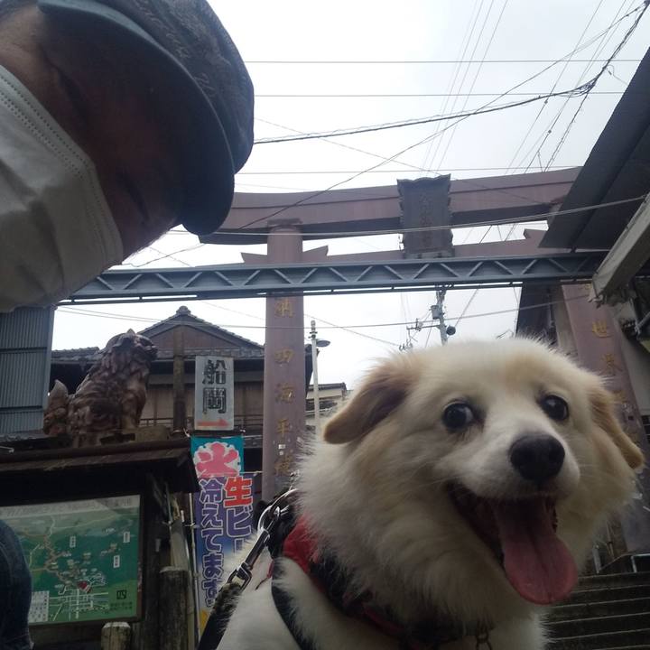 4e5f0354 842f 4656 9fa0 047e3824aaf0 1630758034229