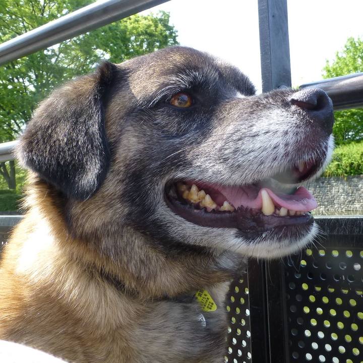 4e5f2f43 08b3 464c 90da f3abfb15e17a 1578788300884