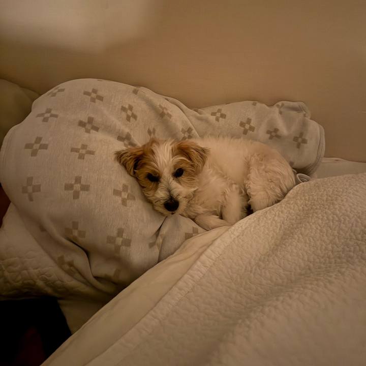 4e5f363e 67c8 4499 9db3 16a2276a14a9 1773413103109