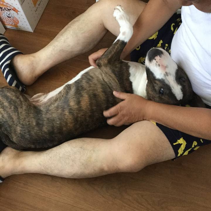 4e5f4287 6f15 4778 a946 e4aac103090f 1600005268122