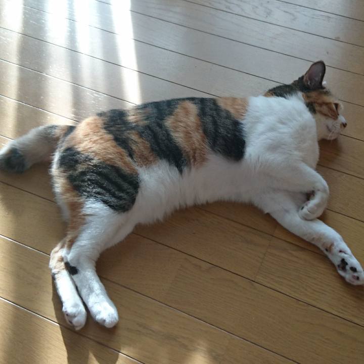 4e5f5105 e5d9 4503 b966 c51b9de07473 1557041897522