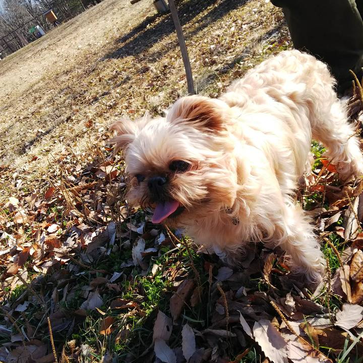 4e5f7668 f936 42a3 9b85 a57eba6b01ee 1513914293986