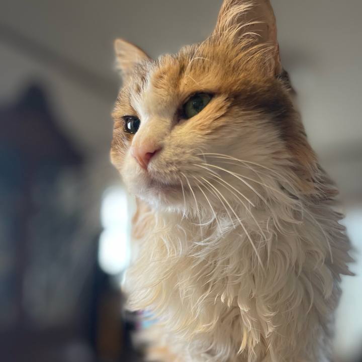 4e5f7d23 41d8 4af6 846a 3ade7ef32a8f 1758416817542