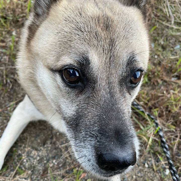 4e5f7f9a a873 4433 a6c2 70ae3c24d3d4 1731590423503