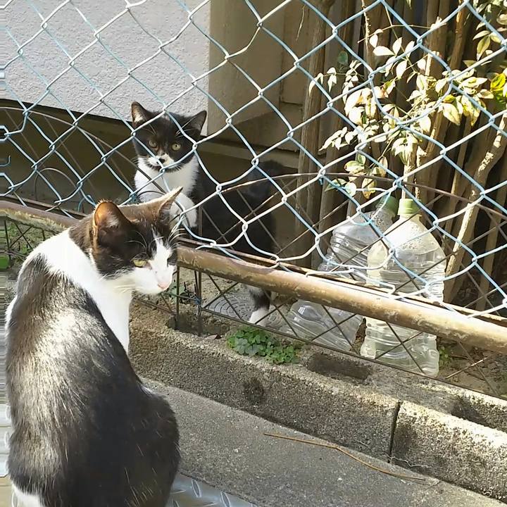 4e5f9e28 f1c2 4d59 becb c9a61eb8cdab 1543121518718