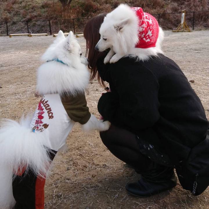 4e5f9f38 8fb1 472f 8388 6ea1d1efa0b5 1546603442753