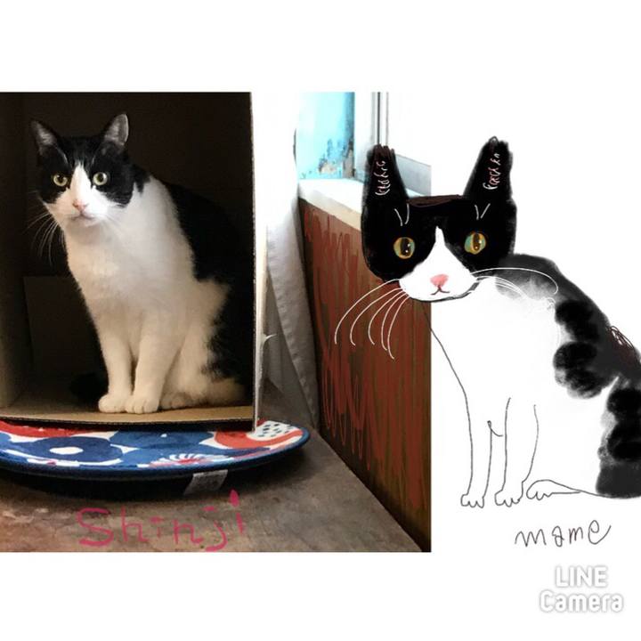 4e5fade3 7304 411a b2ae 081f50041085 1614953239391