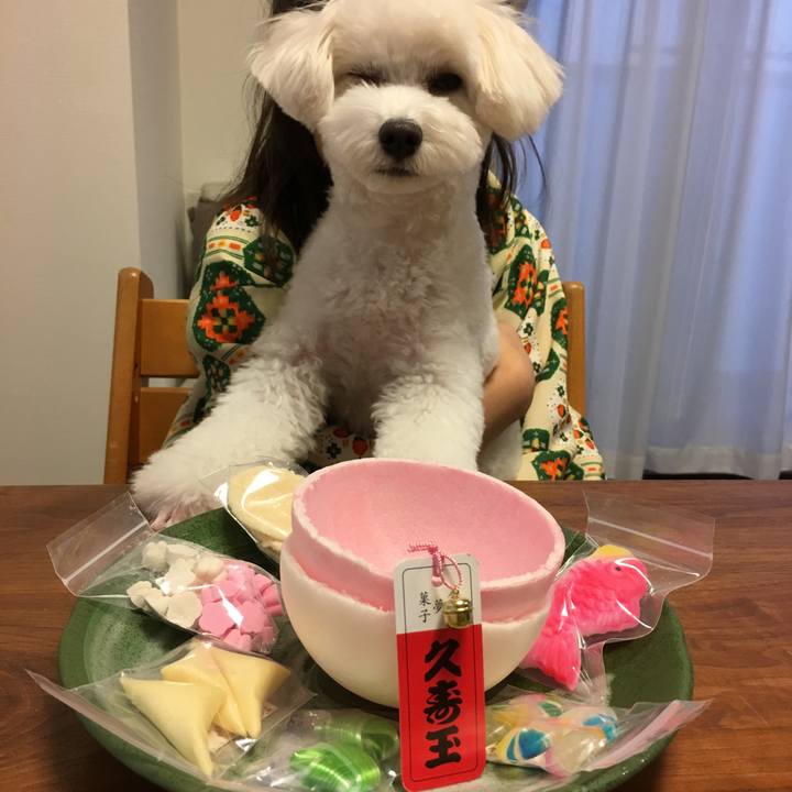 4e5fae80 ac71 4730 9807 6216087b4d18 1515052008250