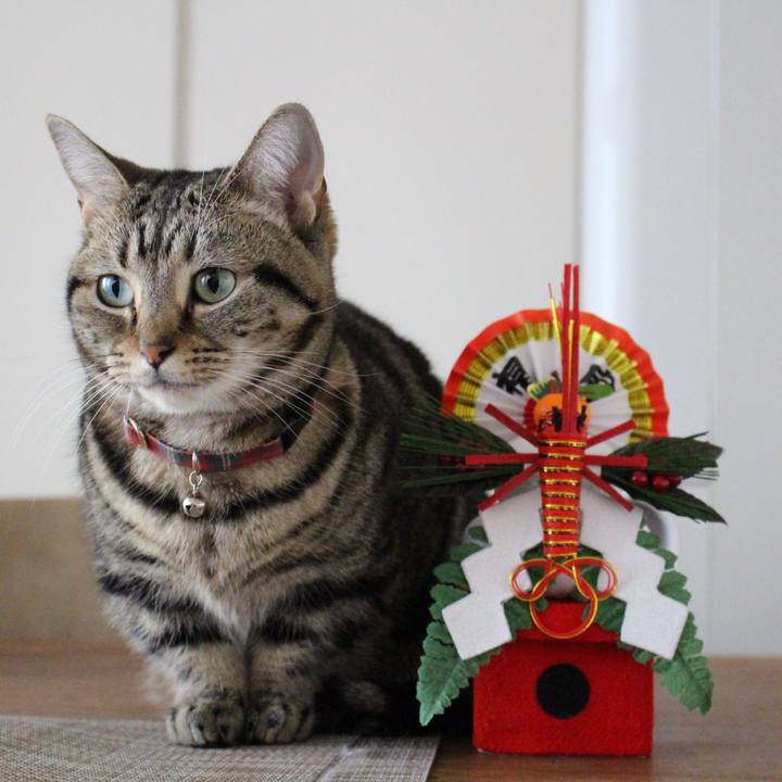 4e5ffd31 f3c5 497b 8913 023f6d0bc8c8 1546358078171