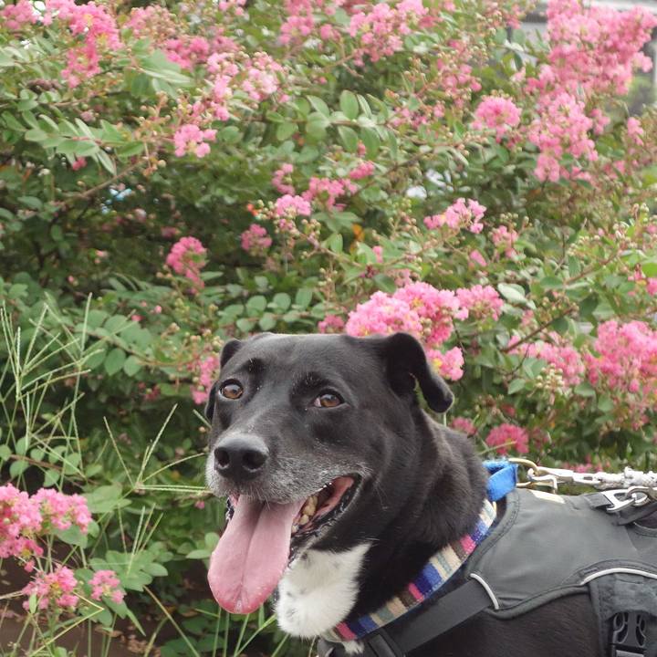 4e60451e 8a6b 4a40 8eea 96f915ae7bc3 1661557922397