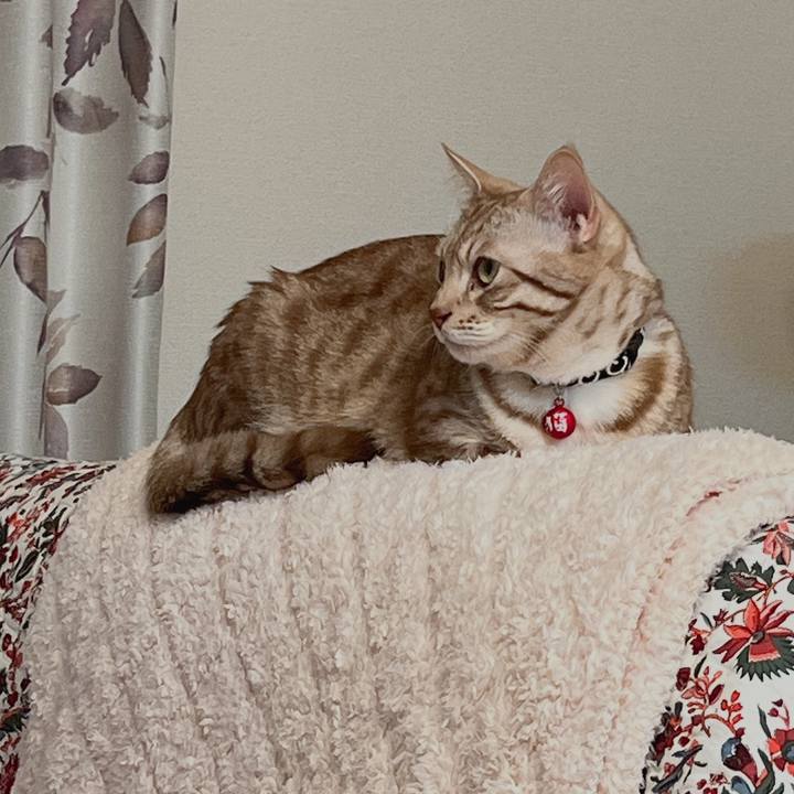 4e604f06 01c9 4c7d 83e2 c3f01c7af617 1678280149095