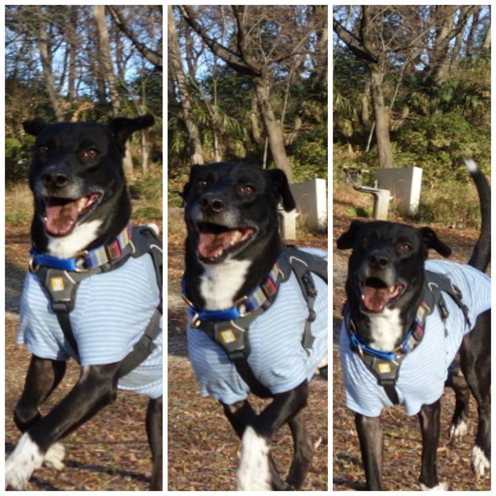 4e60a109 0fa9 432a 9bc7 13fbf1a15f98 1640916274092